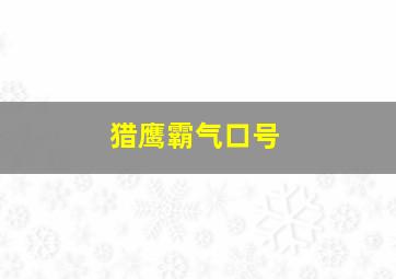 猎鹰霸气口号