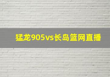 猛龙905vs长岛篮网直播