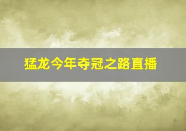 猛龙今年夺冠之路直播