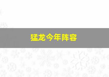 猛龙今年阵容