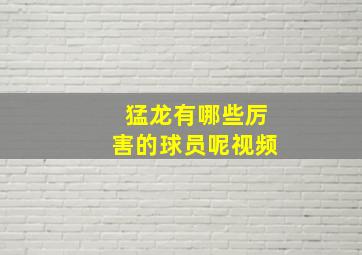 猛龙有哪些厉害的球员呢视频