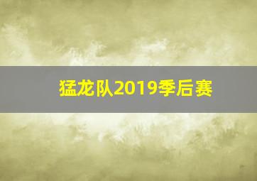 猛龙队2019季后赛