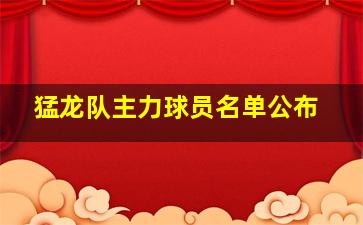 猛龙队主力球员名单公布