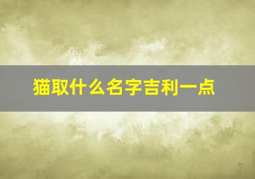 猫取什么名字吉利一点