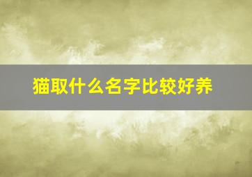 猫取什么名字比较好养