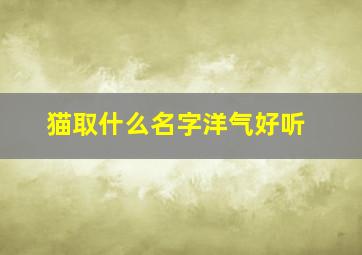 猫取什么名字洋气好听