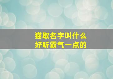 猫取名字叫什么好听霸气一点的