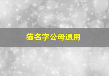 猫名字公母通用