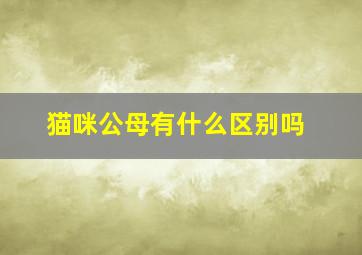 猫咪公母有什么区别吗