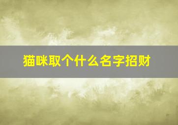 猫咪取个什么名字招财