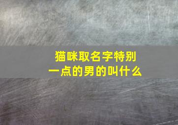 猫咪取名字特别一点的男的叫什么