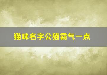 猫咪名字公猫霸气一点