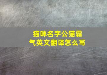 猫咪名字公猫霸气英文翻译怎么写