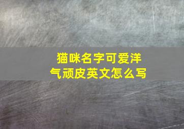 猫咪名字可爱洋气顽皮英文怎么写