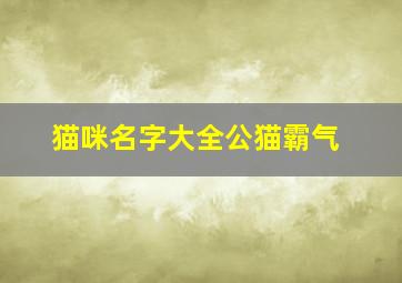 猫咪名字大全公猫霸气