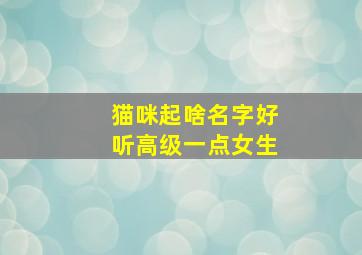 猫咪起啥名字好听高级一点女生