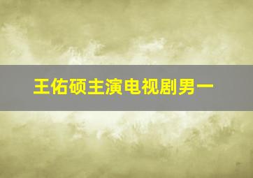 王佑硕主演电视剧男一