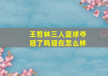 王哲林三人篮球夺冠了吗现在怎么样