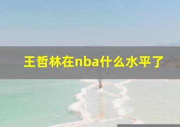 王哲林在nba什么水平了