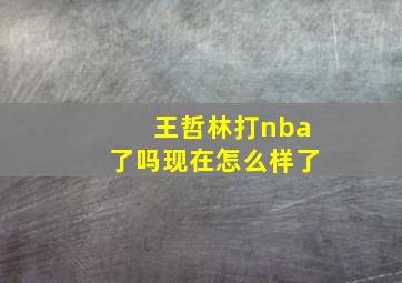 王哲林打nba了吗现在怎么样了