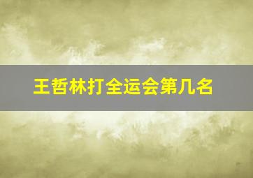 王哲林打全运会第几名