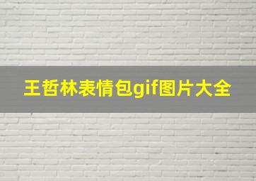 王哲林表情包gif图片大全