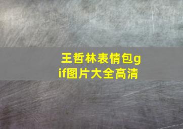 王哲林表情包gif图片大全高清