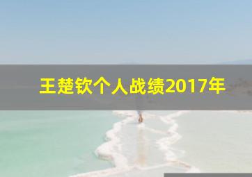 王楚钦个人战绩2017年