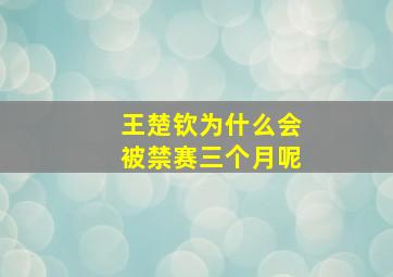 王楚钦为什么会被禁赛三个月呢