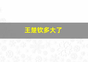 王楚钦多大了