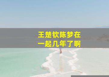 王楚钦陈梦在一起几年了啊