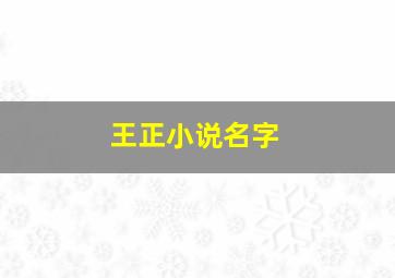 王正小说名字