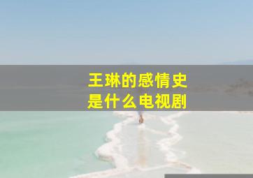 王琳的感情史是什么电视剧