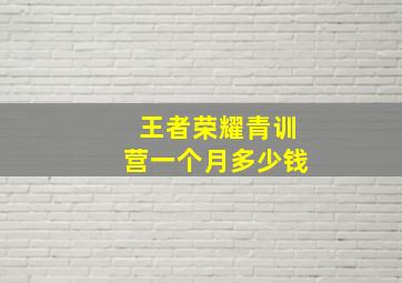 王者荣耀青训营一个月多少钱