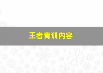 王者青训内容