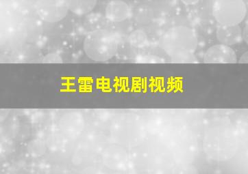 王雷电视剧视频