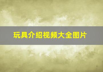 玩具介绍视频大全图片