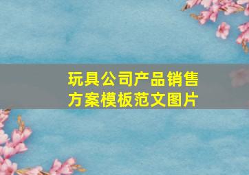 玩具公司产品销售方案模板范文图片