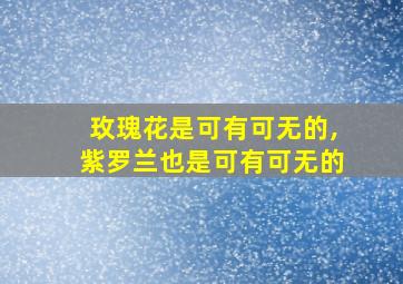 玫瑰花是可有可无的,紫罗兰也是可有可无的