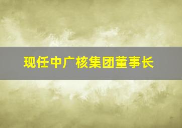 现任中广核集团董事长