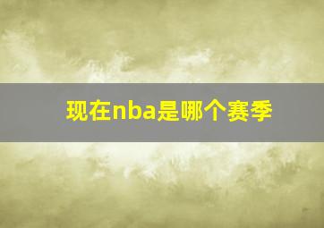 现在nba是哪个赛季