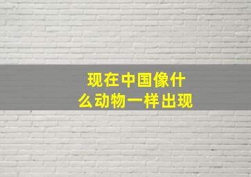 现在中国像什么动物一样出现