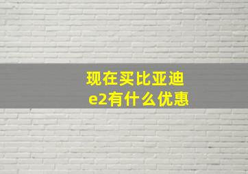 现在买比亚迪e2有什么优惠