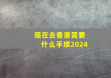 现在去香港需要什么手续2024