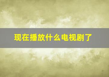 现在播放什么电视剧了