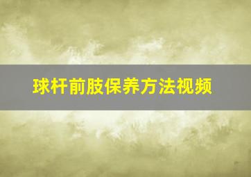 球杆前肢保养方法视频