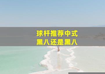 球杆推荐中式黑八还是黑八