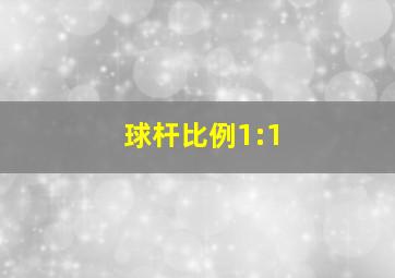 球杆比例1:1