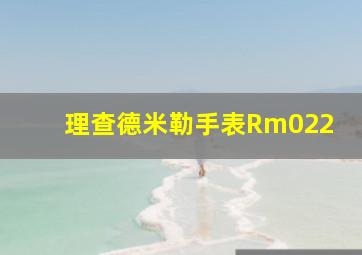 理查德米勒手表Rm022