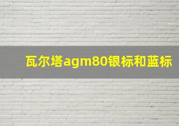 瓦尔塔agm80银标和蓝标